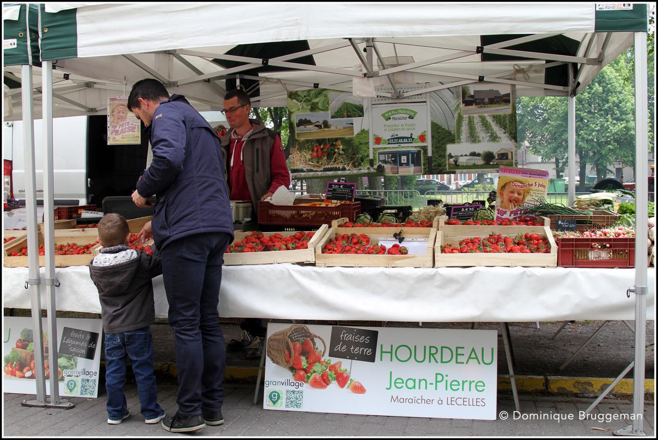 Public et bénévoles