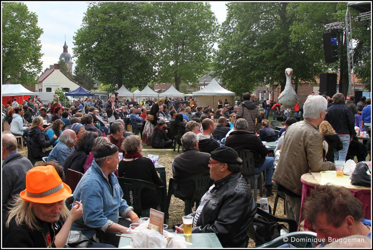 Public et bénévoles